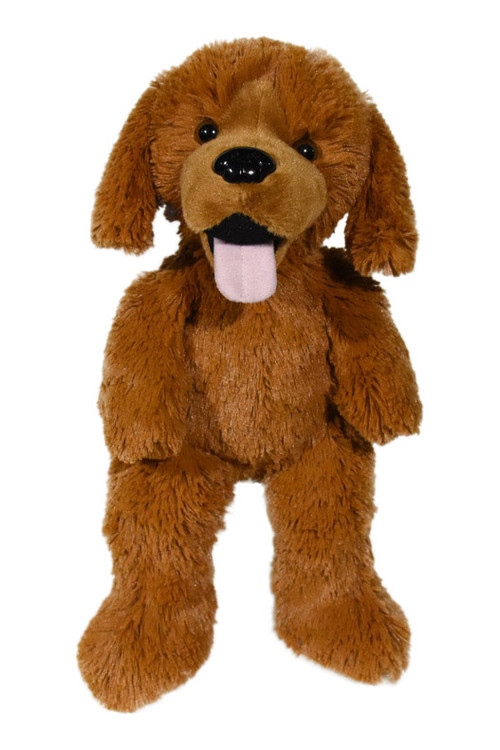 Daisy The Golden Retriever Animaland