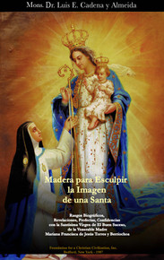 Madera para Esculpir la Imagen de una Santa - eBook