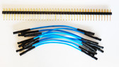 Qty 10 3" Female Blue Jumper Wires and 40 Headers (920-0164-01)