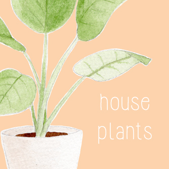 title-pm-house-plants.jpg