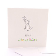 Hooray Bunny