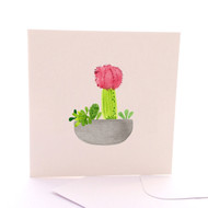 Pink Cactus