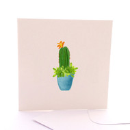 Potted Cactus