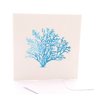 Sea Fan