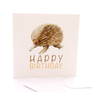 Echidna Birthday
