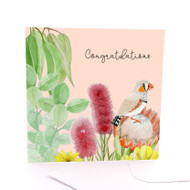 Zebra Finch Congrats