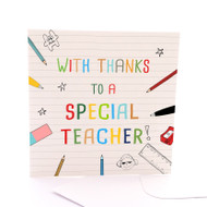 Special Teacher