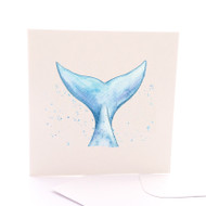 Whale Tail