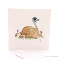 Emu Chicks