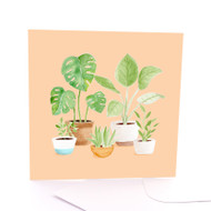 Plant Family