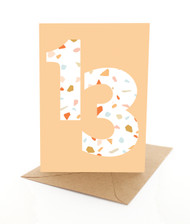 Earth Years 13 - Neutral