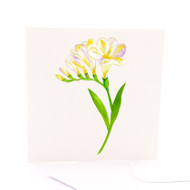 Botanica Freesia
