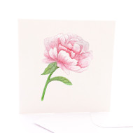 Botanica Peony Rose 2