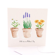 Mother's Day Pots
