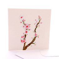 Botanica Cherry Blossom