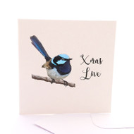 Fairy Wren