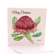 Xmas Waratah