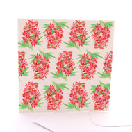 Christmas Bush Gallery