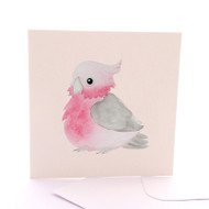 Baby Galah