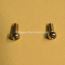 Screw (sold each)