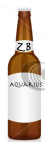 Aquarius Beer- 6 Pack