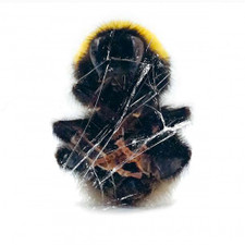 Baast Dimensions Lp Vinyl Ear Candy Music Get the best deals on beast dimensions lego. ear candy music
