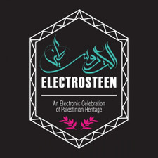 Various Artists - Electrosteen: An Electronic Celebration Of Palestinian Heritage - LP Vinyl