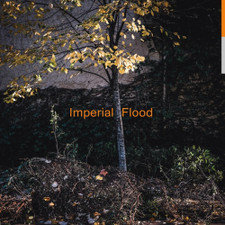 Logos - Imperial Flood - LP Vinyl