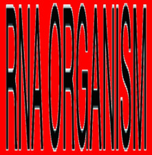R.N.A. Organism - Unaffected Mixes Plus - 2x LP Vinyl