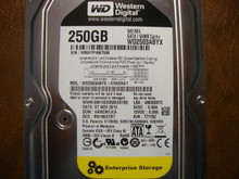 Western Digital WD2503ABYX-01WERA1 DCM:HARCNTJCA 250gb Sata