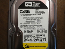 Western Digital WD2503ABYX-01WERA0 DCM:HHRNHTJAA 250gb Sata