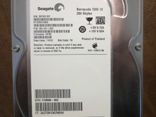 Seagate ST3250318AS 9SL131-022 FW:HP35 TK 250gb Sata