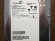 Seagate ST3250318AS 9SL131-022 FW:HP35 TK 250gb Sata 