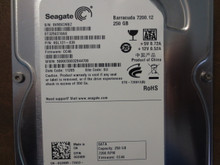 Seagate ST3250318AS 9SL131-036 FW:CC46 SU 250gb Sata 
