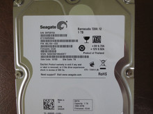 Seagate ST31000528AS 9SL154-033 FW:CC44 TK 1.0TB Sata