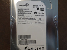 Seagate ST3250312AS 9YP131-021 FW:HP63 TK 250gb Sata 9VYD8FMT (T)