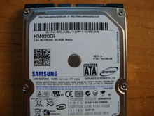 SAMSUNG HM020GI, 20GB, SATA, REV A, F/W: YU100-06 (M40S)