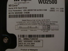 WESTERN DIGITAL WD2500SD-01KCB0 DCM: HSBACTJAA SATA 190490355764