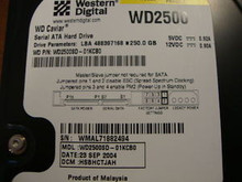 WESTERN DIGITAL WD2500SD-01KCB0 DCM: HSBHCTJAH SATA 360335959480