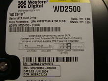 WESTERN DIGITAL WD2500SD-01KCB0 DCM: HSBACTJCA SATA
