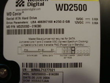 WESTERN DIGITAL WD2500SD-01KCB0 DCM: HSBACTJAA SATA 360335958441