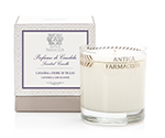Antica Farmacista Lavender & Lime Blossom Scented Candle | James Anthony Collection