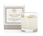 Antica Farmacista Daphne Flower Scented Candle | James Anthony Collection