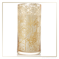 Thymes Forest Cedar Candle - Large | James Anthony Collection