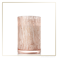 Thymes Forest Maple Candle - Medium | James Anthony Collection