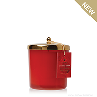 Thymes Simmered Cider Cider Harvest Red Jar Poured Candle with Gold Lid - UPC 637666049809 | James Anthony Collection