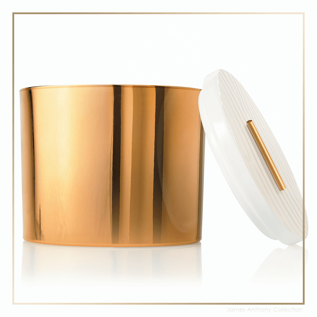 Thymes Frasier Fir Gilded Collection Gold 3-Wick Ceramic Candle