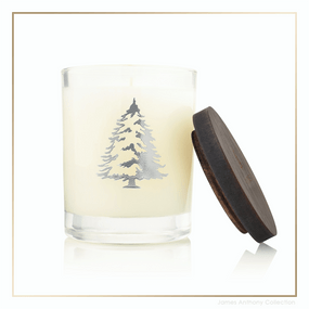 Thymes Frasier Fir Statement Collection Pine Needle Candle | James Anthony Collection