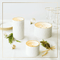 Thymes Frasier Fir Gilded Collection Ceramic Candle | James Anthony Collection