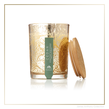 Thymes Forest Cedar Candle - Small | James Anthony Collection